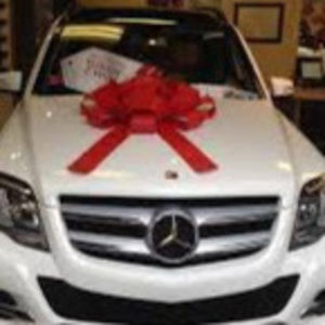 Meet your Posher, Maria